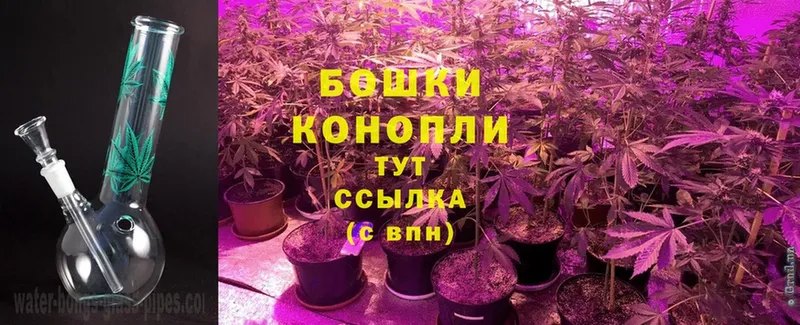 Шишки марихуана Ganja  купить наркотики сайты  ссылка на мегу сайт  Боготол 